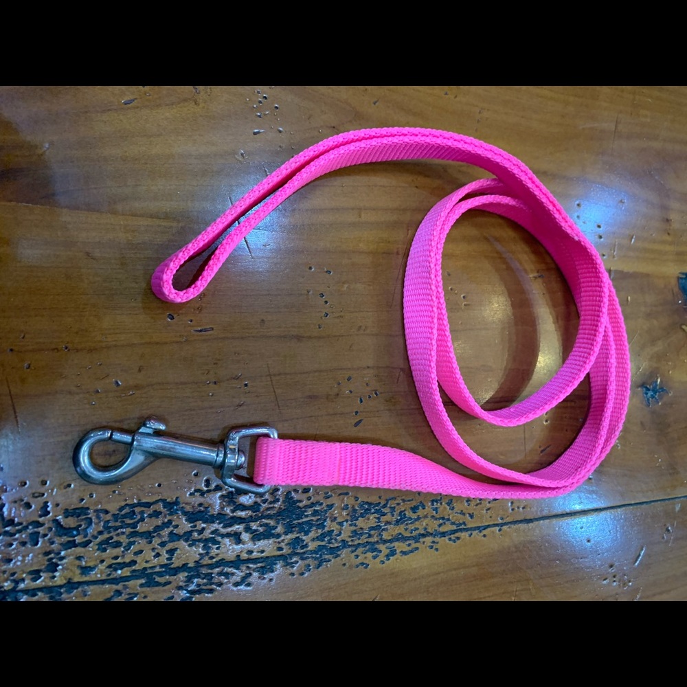 Pretty! 4’ dog leash